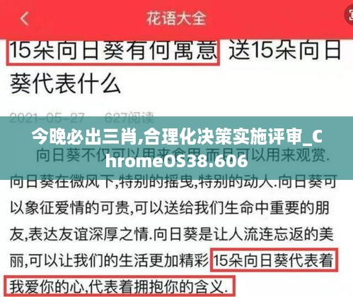 今晚必出三肖,合理化决策实施评审_ChromeOS38.606