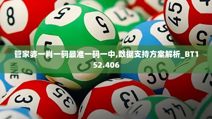 管家婆一肖一码最准一码一中,数据支持方案解析_BT152.406