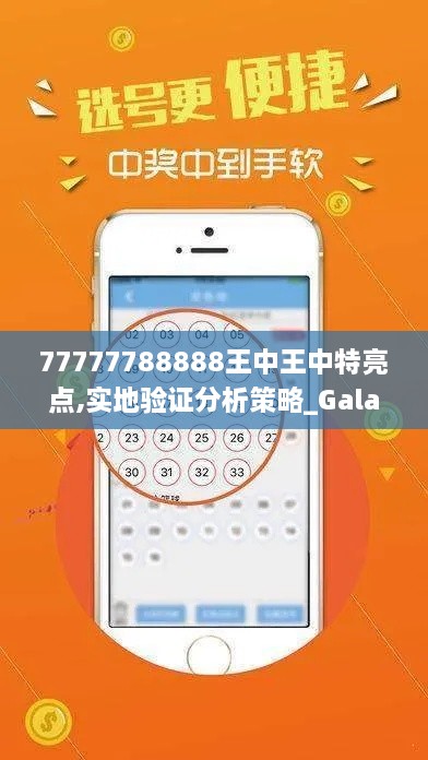 77777788888王中王中特亮点,实地验证分析策略_Galaxy21.926