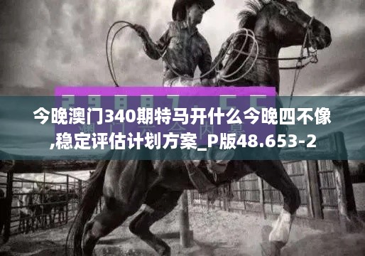 今晚澳门340期特马开什么今晚四不像,稳定评估计划方案_P版48.653-2