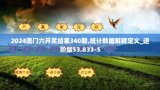 2024澳门六开奖结果340期,统计数据解释定义_进阶版53.833-5