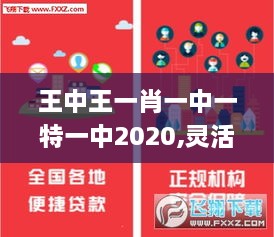 王中王一肖一中一特一中2020,灵活设计操作方案_储蓄版36.501