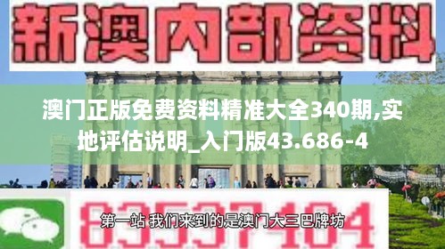 澳门正版免费资料精准大全340期,实地评估说明_入门版43.686-4