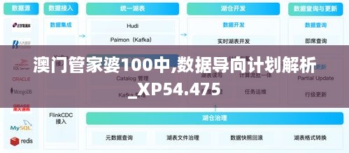 澳门管家婆100中,数据导向计划解析_XP54.475