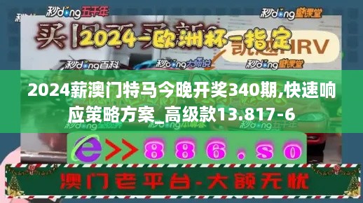 2024薪澳门特马今晚开奖340期,快速响应策略方案_高级款13.817-6