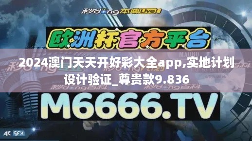 2024澳门天天开好彩大全app,实地计划设计验证_尊贵款9.836