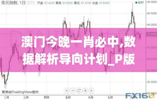 澳门今晚一肖必中,数据解析导向计划_P版8.497