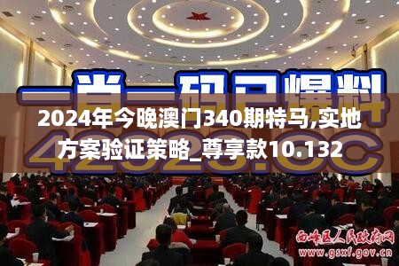 2024年今晚澳门340期特马,实地方案验证策略_尊享款10.132