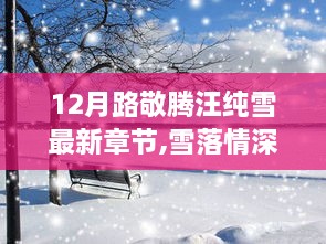 路敬腾与汪纯雪的温馨日常，十二月新篇章雪落情深