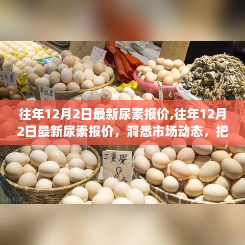 洞悉市场动态，往年12月2日最新尿素报价与行业趋势分析