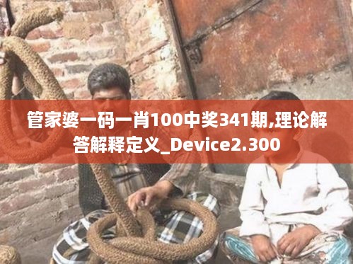 管家婆一码一肖100中奖341期,理论解答解释定义_Device2.300