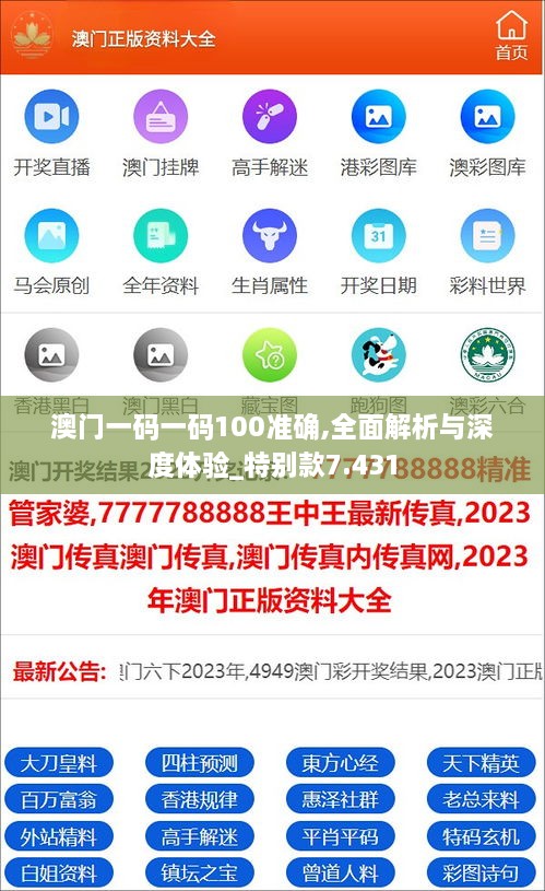 澳门一码一码100准确,全面解析与深度体验_特别款7.431