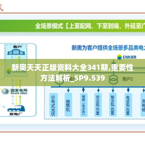 新奥天天正版资料大全341期,重要性方法解析_SP9.539