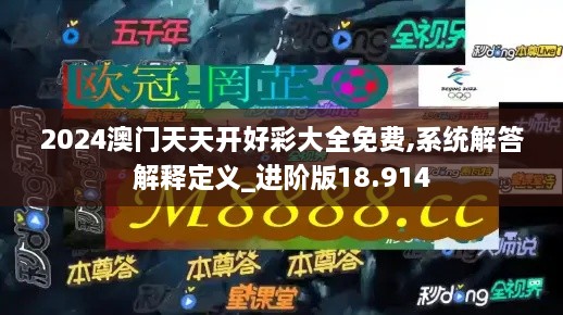 2024澳门天天开好彩大全免费,系统解答解释定义_进阶版18.914