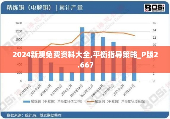 2024新澳免费资料大全,平衡指导策略_P版2.667