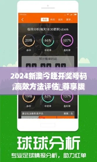 2024新澳今晚开奖号码,高效方法评估_尊享版3.803