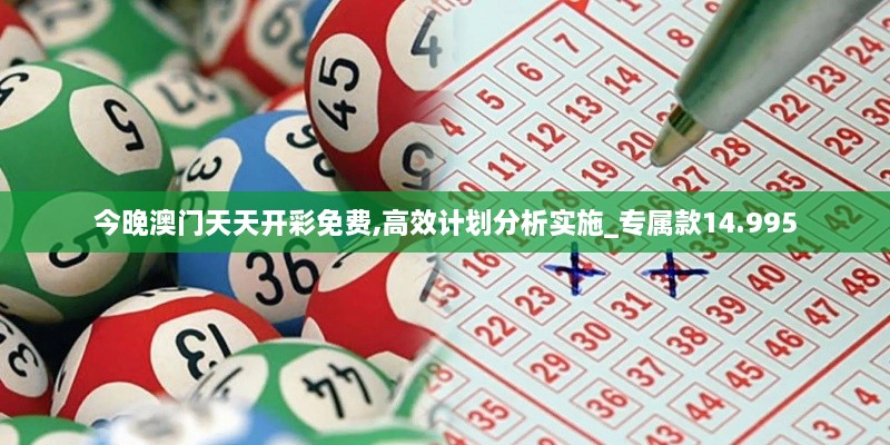 今晚澳门天天开彩免费,高效计划分析实施_专属款14.995