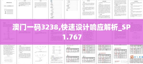 澳门一码3238,快速设计响应解析_SP1.767