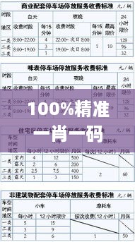 100%精准一肖一码,可靠执行计划策略_复刻款6.274