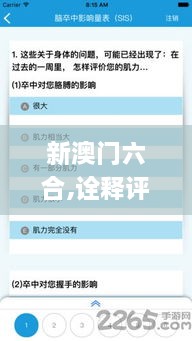 新澳门六合,诠释评估说明_V21.985