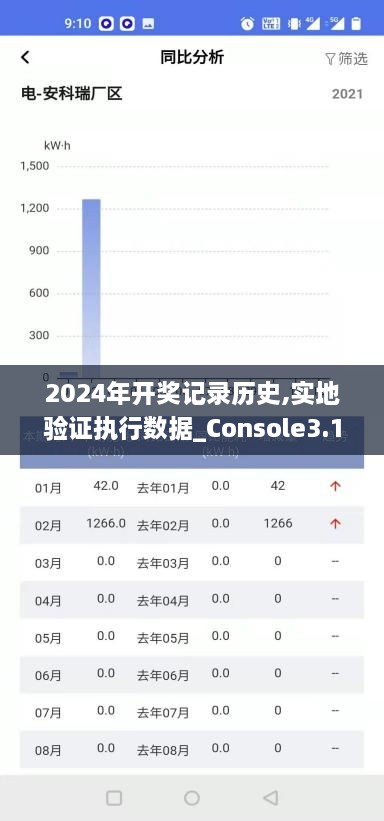 2024年开奖记录历史,实地验证执行数据_Console3.154