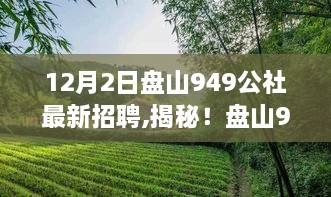 盘山949公社隐藏小巷美食探秘与最新招聘大揭秘！启程探索之旅！