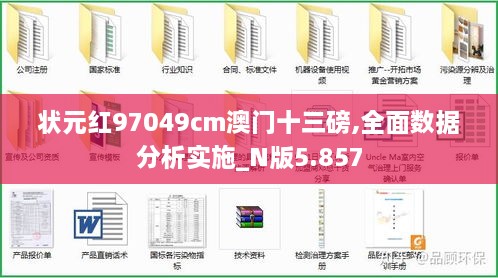 状元红97049cm澳门十三磅,全面数据分析实施_N版5.857