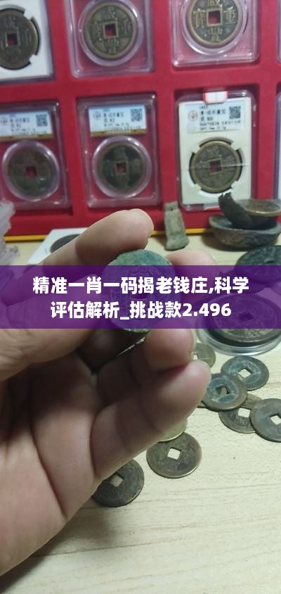 精准一肖一码揭老钱庄,科学评估解析_挑战款2.496