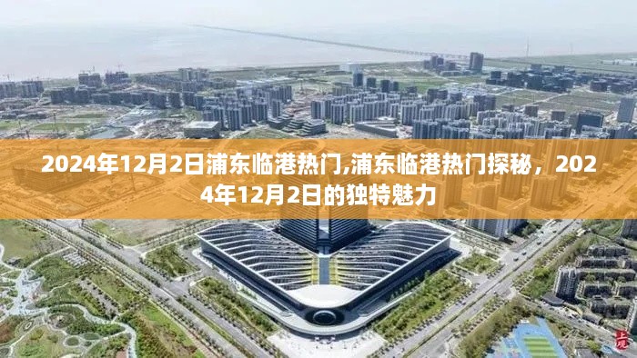 浦东临港探秘，揭秘2024年12月2日浦东临港的热门魅力