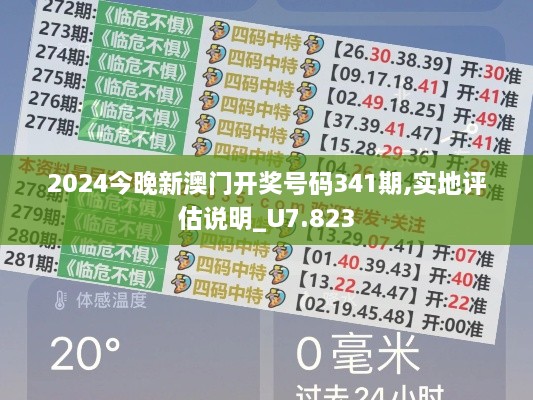 2024今晚新澳门开奖号码341期,实地评估说明_U7.823