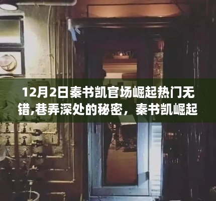 秦书凯官场崛起背后的秘密，小巷深处的特色小店探秘