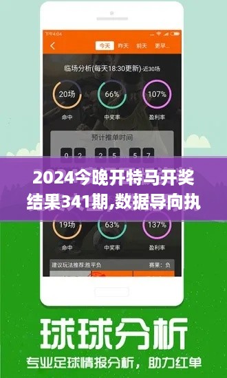 2024今晚开特马开奖结果341期,数据导向执行策略_静态版9.241