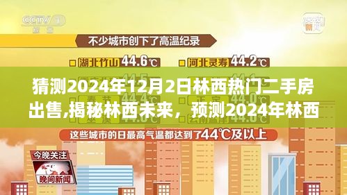 2024年12月6日 第6页