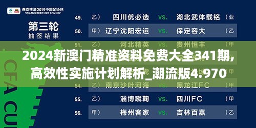 2024新澳门精准资料免费大全341期,高效性实施计划解析_潮流版4.970