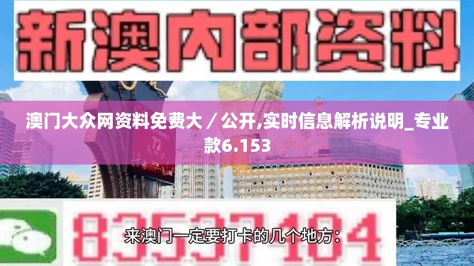 澳门大众网资料免费大／公开,实时信息解析说明_专业款6.153