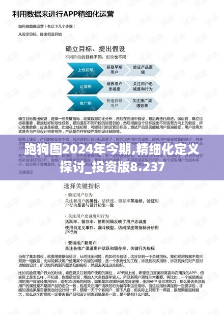 跑狗图2024年今期,精细化定义探讨_投资版8.237