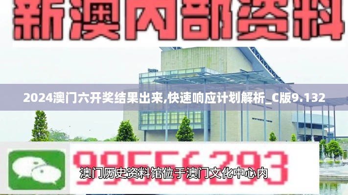 2024澳门六开奖结果出来,快速响应计划解析_C版9.132