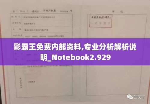 彩霸王免费内部资料,专业分析解析说明_Notebook2.929