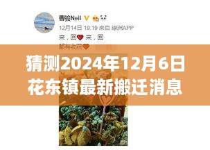 花东镇未来搬迁展望，励志故事与变迁之舞，把握2024年12月6日最新动态