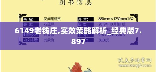 6149老钱庄,实效策略解析_经典版7.897