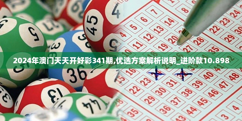 2024年澳门天天开好彩341期,优选方案解析说明_进阶款10.898