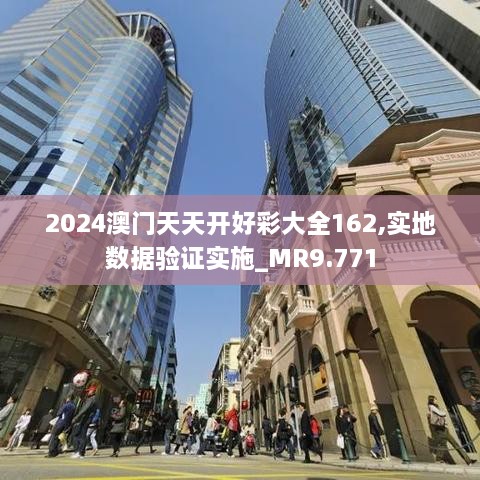 2024澳门天天开好彩大全162,实地数据验证实施_MR9.771