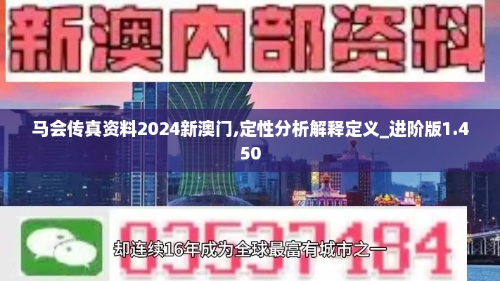 马会传真资料2024新澳门,定性分析解释定义_进阶版1.450