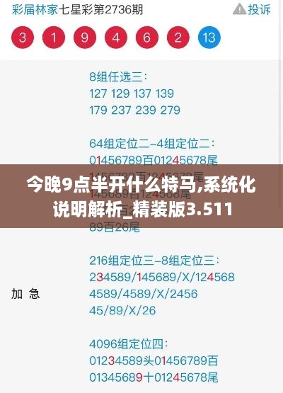 今晚9点半开什么特马,系统化说明解析_精装版3.511