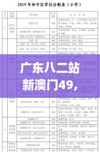 广东八二站新澳门49,适用计划解析方案_经典款8.668