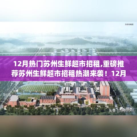 12月苏州生鲜超市招租热潮来袭，热门选址指南与重磅推荐