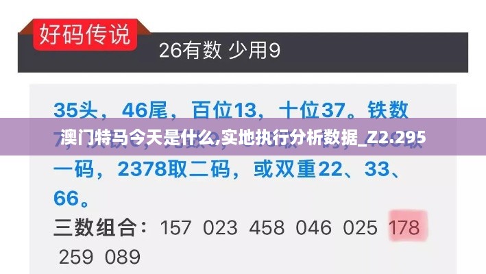 澳门特马今天是什么,实地执行分析数据_Z2.295