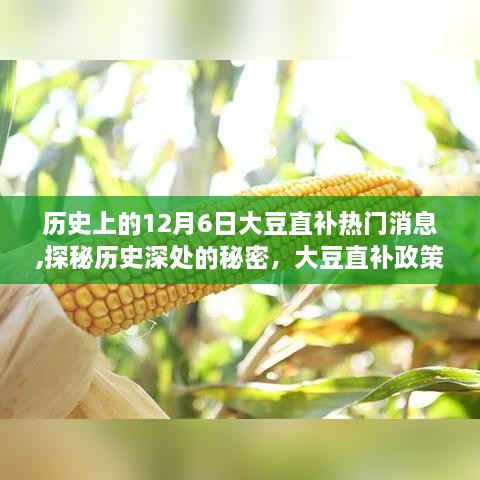 探秘历史深处的秘密，大豆直补政策下的巷子小店——历史上的大豆直补热门消息回顾与解读