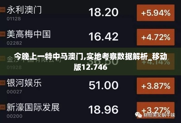 今晚上一特中马澳门,实地考察数据解析_移动版12.746