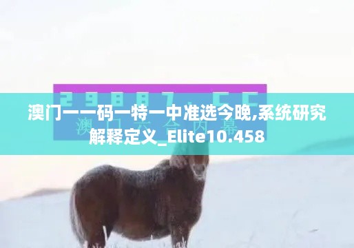 澳门一一码一特一中准选今晚,系统研究解释定义_Elite10.458